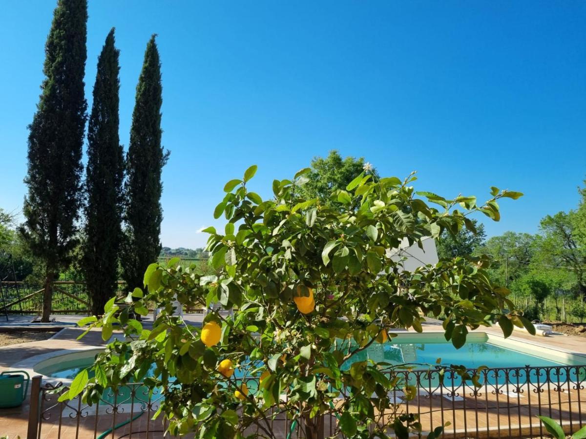 Fornace Del Conte Apartment Abbadia di Montepulciano Exterior foto