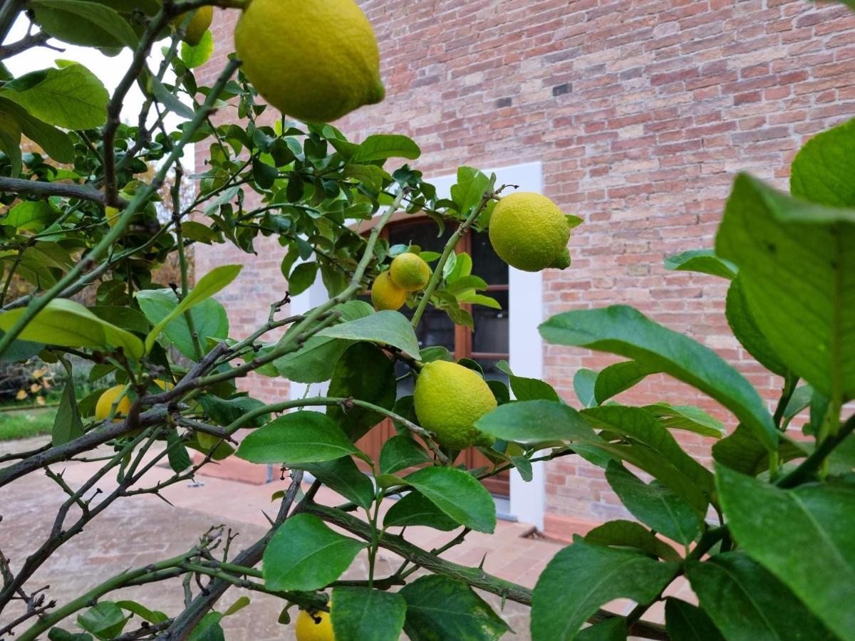 Fornace Del Conte Apartment Abbadia di Montepulciano Exterior foto