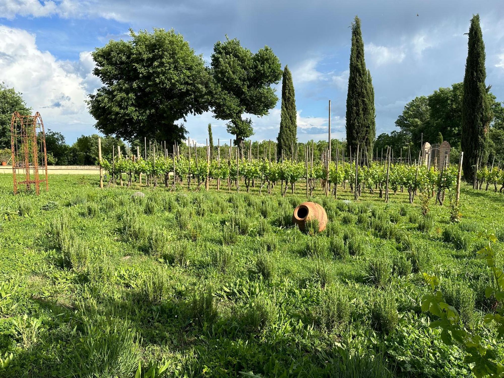 Fornace Del Conte Apartment Abbadia di Montepulciano Exterior foto