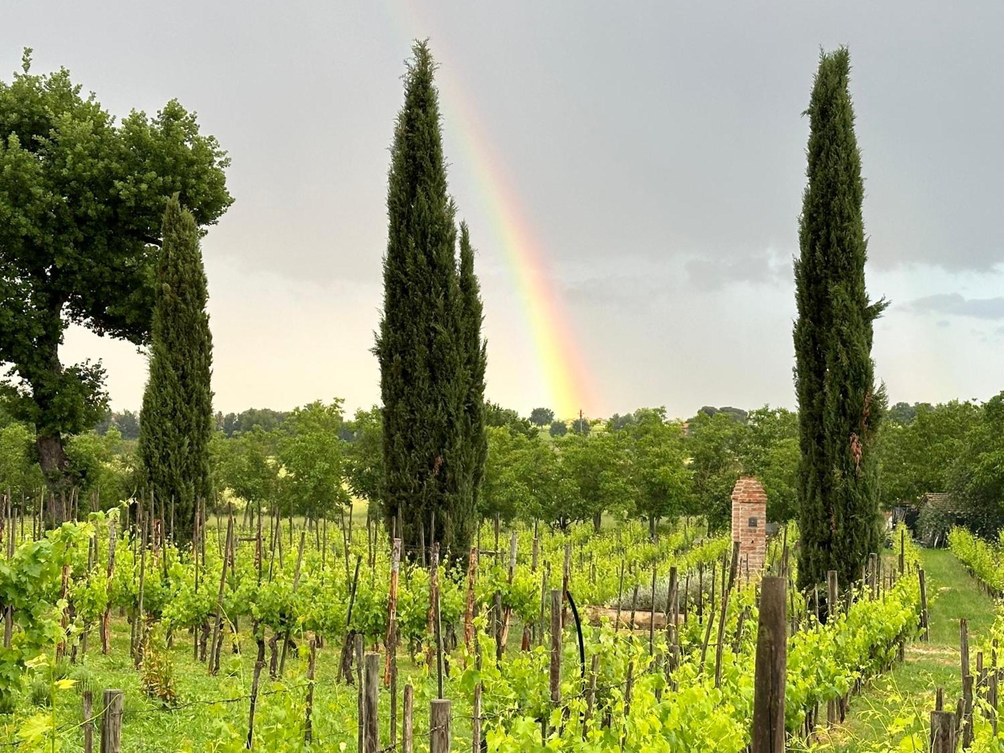 Fornace Del Conte Apartment Abbadia di Montepulciano Exterior foto