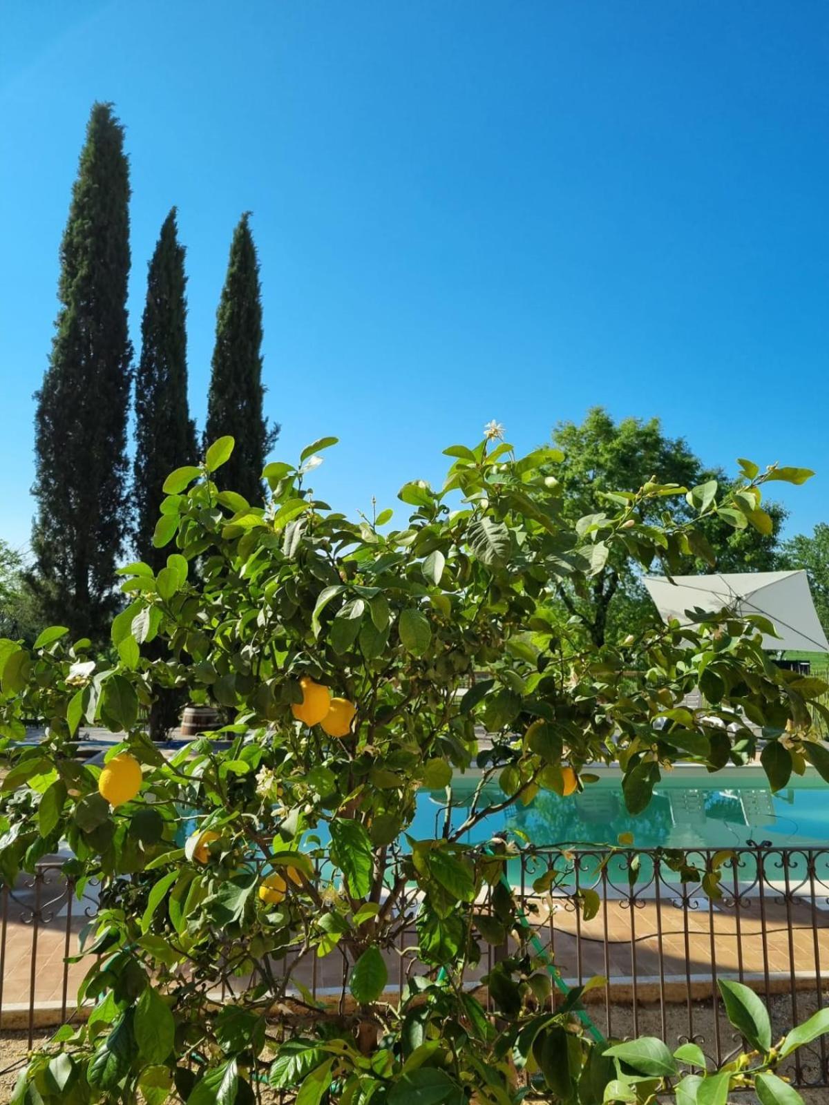Fornace Del Conte Apartment Abbadia di Montepulciano Exterior foto