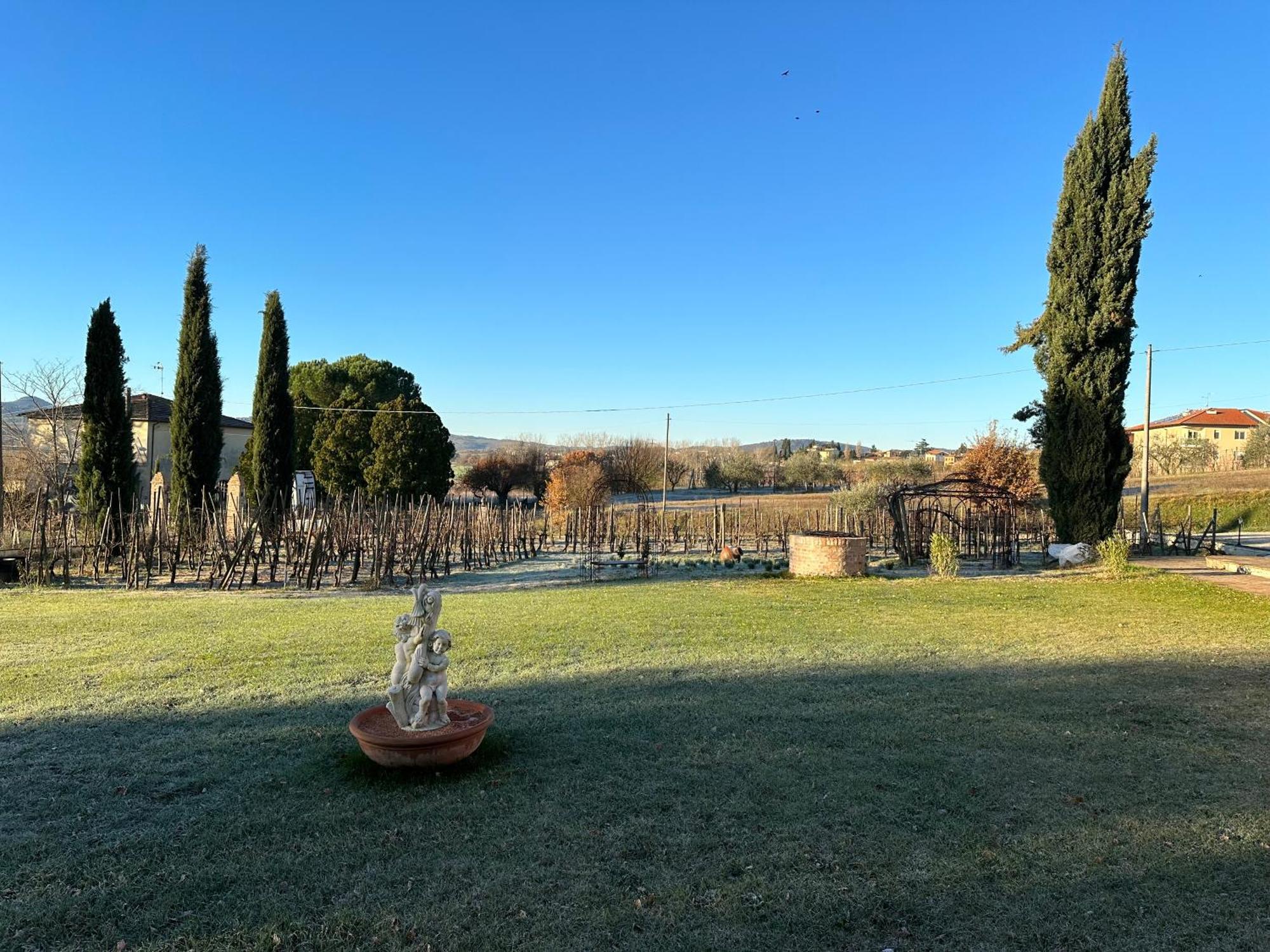 Fornace Del Conte Apartment Abbadia di Montepulciano Exterior foto